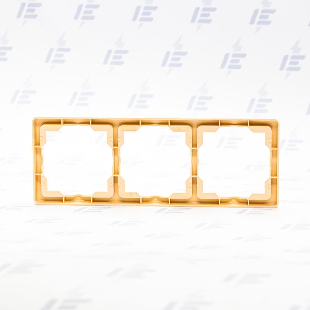 3901G-A00030 C1 Rámeček trojnásobný, pro vodorovnou i svislou montáž