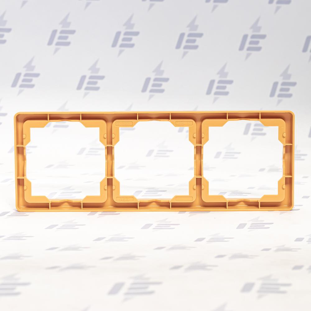 3901G-A00030 D1 Rámeček trojnásobný, pro vodorovnou i svislou montáž