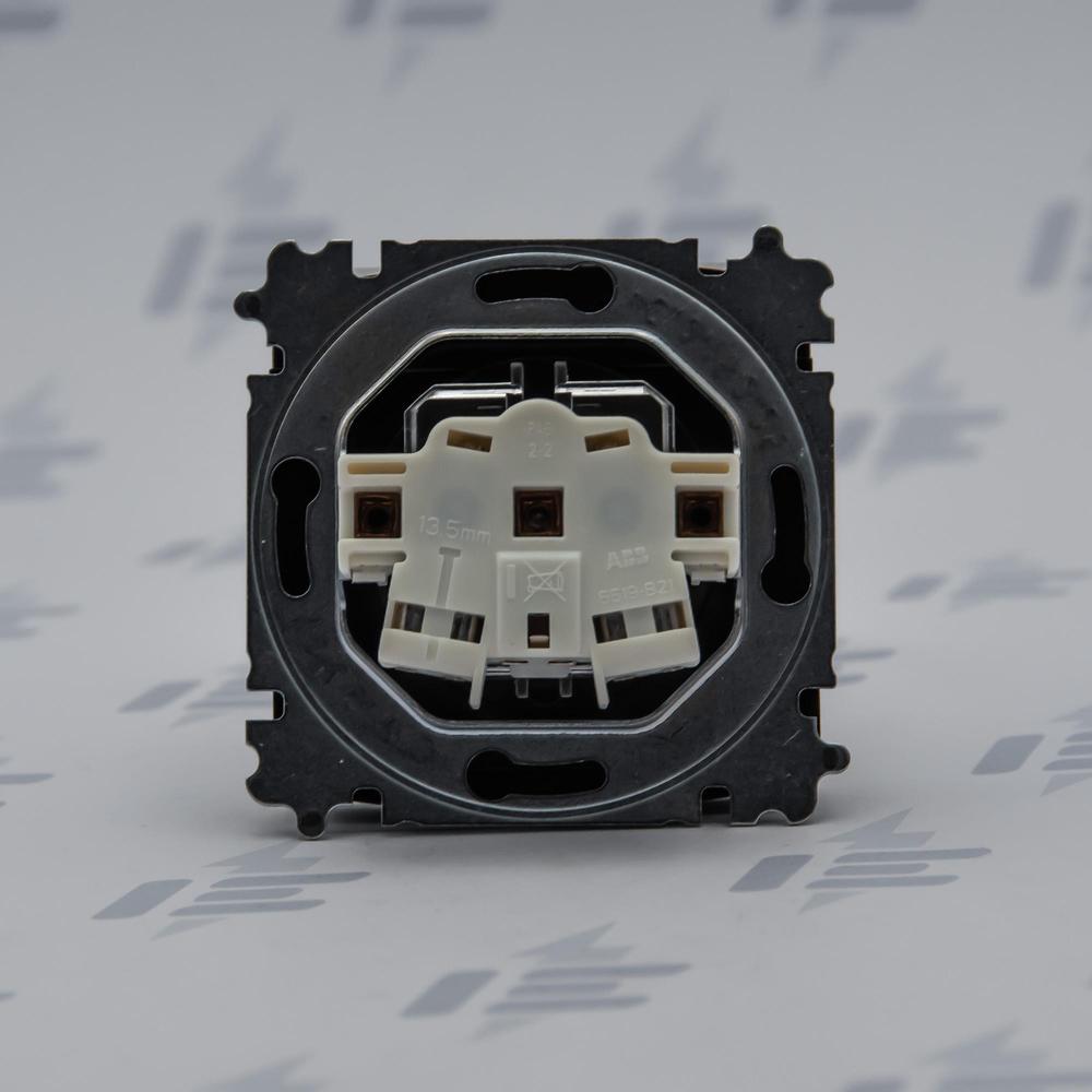 5519A-A02397 N Zásuvka jednonásobná, chráněná, s clonkami, s víčkem, s bezšroub. sv.