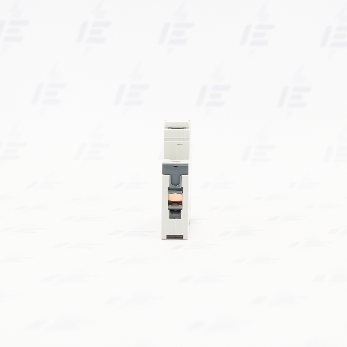 LTN-20B-1 Jistič (OEZ:41641)