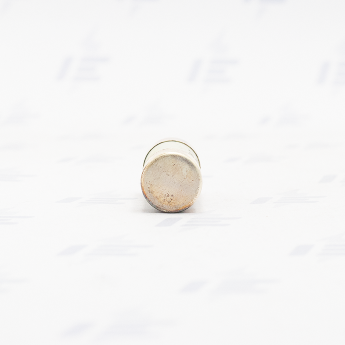 PV22 16A gG Pojistková vložka (OEZ:06740)