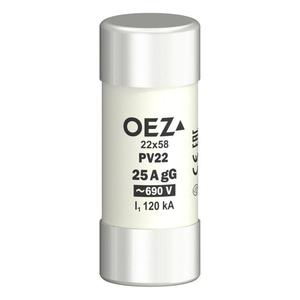 PV22 25A gG Pojistková vložka (OEZ:06744)