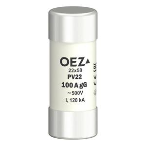 PV22 100A gG Pojistková vložka (OEZ:06756)