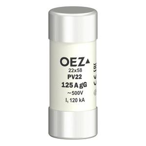 PV22 125A gG Pojistková vložka (OEZ:18271)