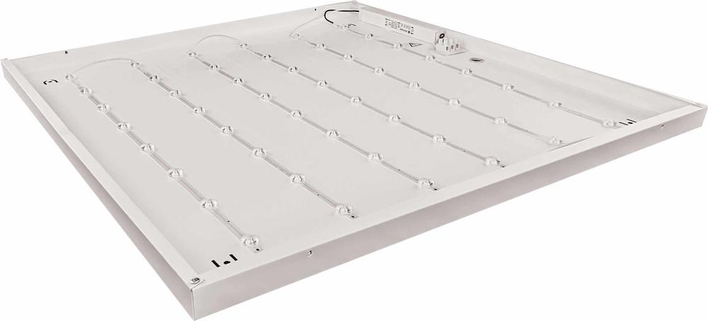 GXDS229 DAISY ILLY 42W NW