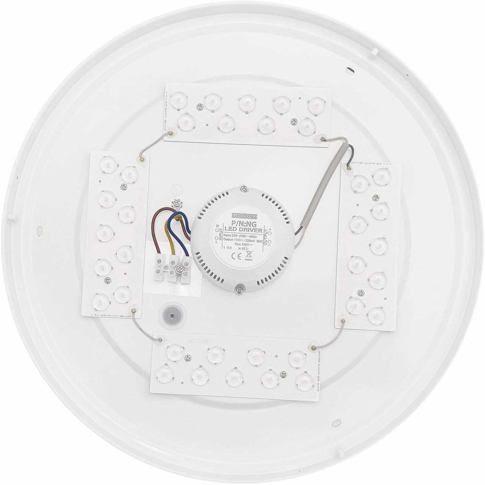 GXDS262 DAISY LAN-R 36W NW