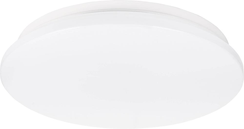 GXDS262 DAISY LAN-R 36W NW