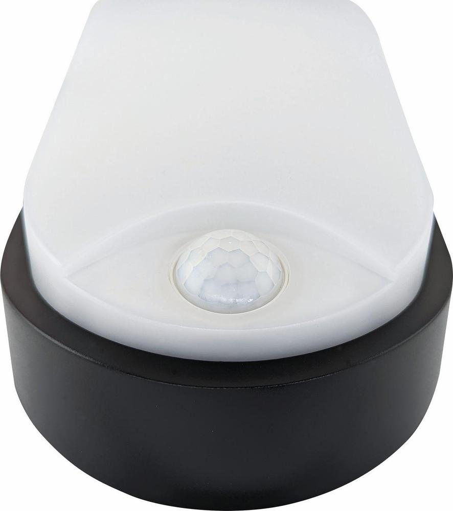 GXPS042 DITA OVAL B 14W NW