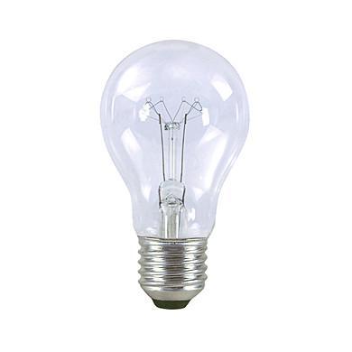 Průmyslová žárovka otřesuvzdorná AGR 75W A55 E27 230V čirá