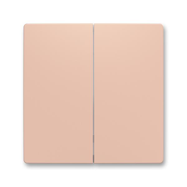 Kryt dělený pro smart switch