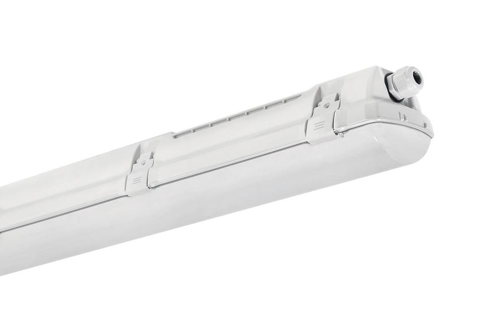 PRIMA 1.5ft PC 8000/840