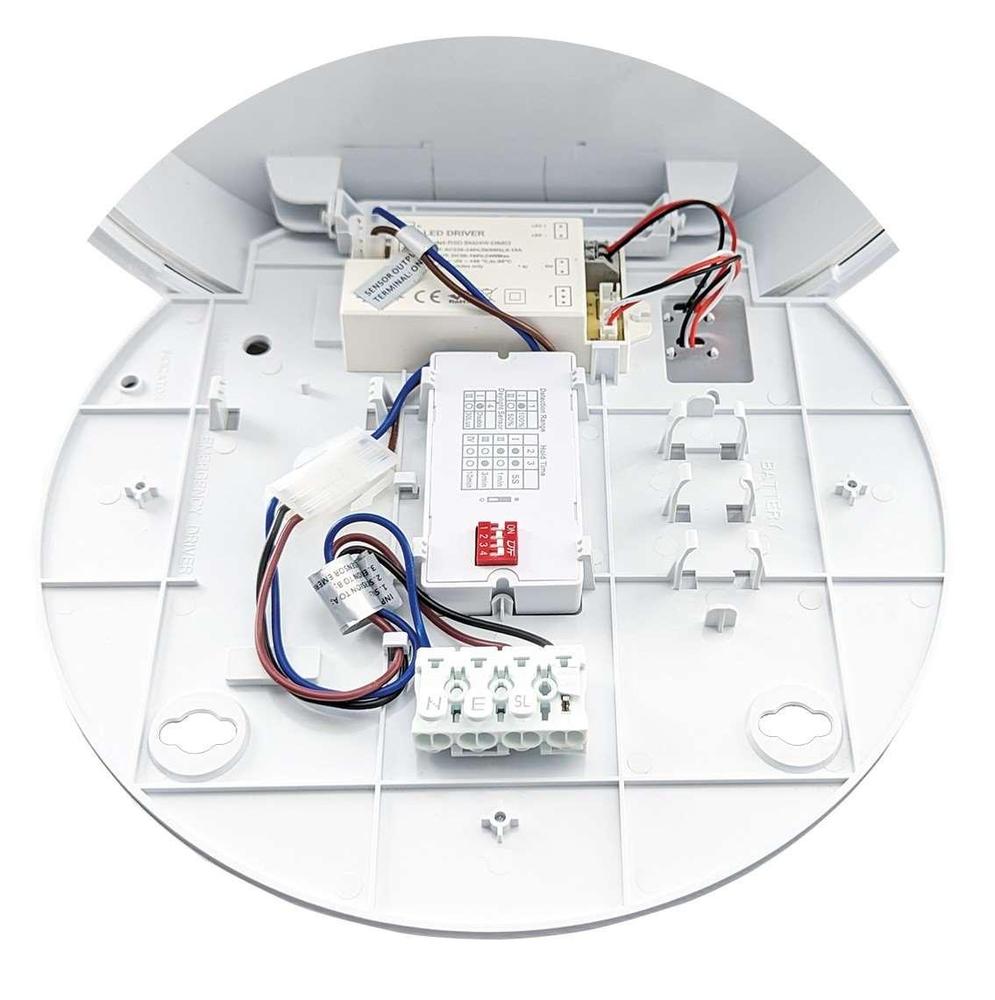 GXOS256v2 STROPY Sensor HF